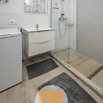 Oasis *